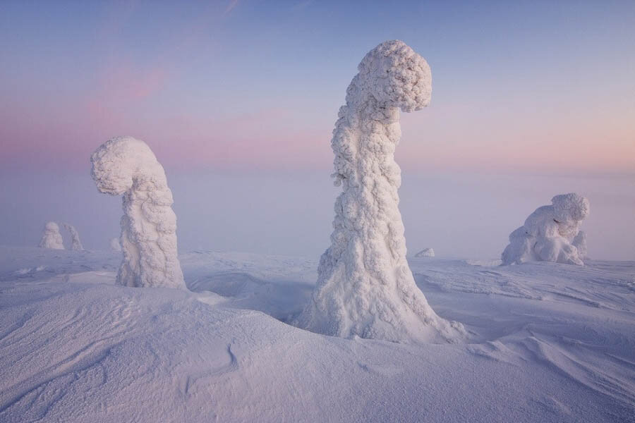 
Эти странные изваяния — всего лишь деревья, облепленные снегом во время метели. Под тяжестью снега деревья склоняют свои вершины, отчего заснеженный пейзаж кажется ещё более загадочным.
