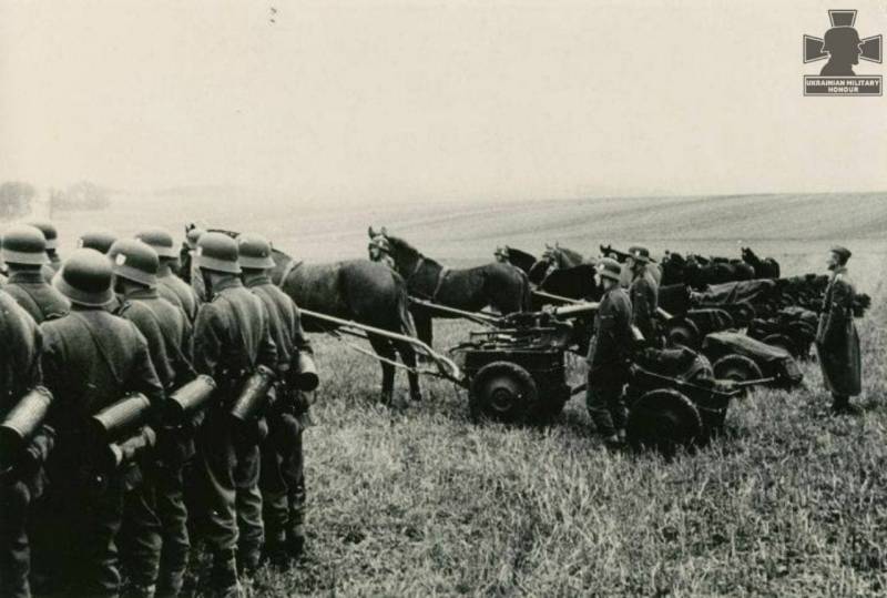 Никто не забыт: герои современной Украины история,украина