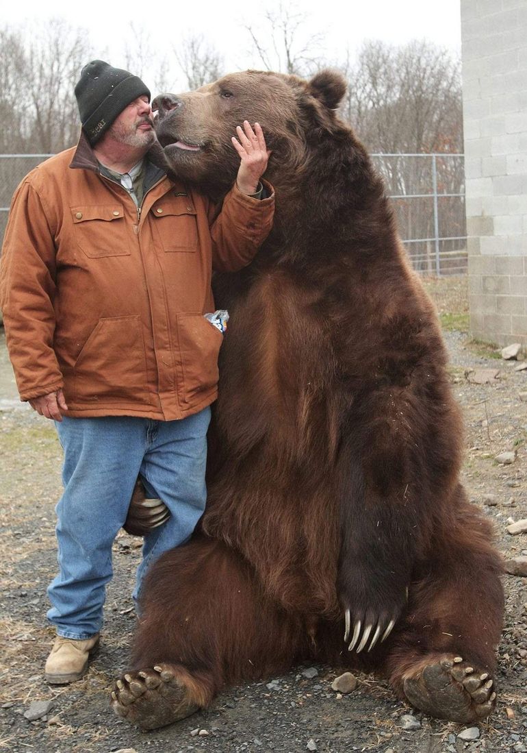 Подборка веселых и интересных картинок авто и мото,автоновости,автоюмор