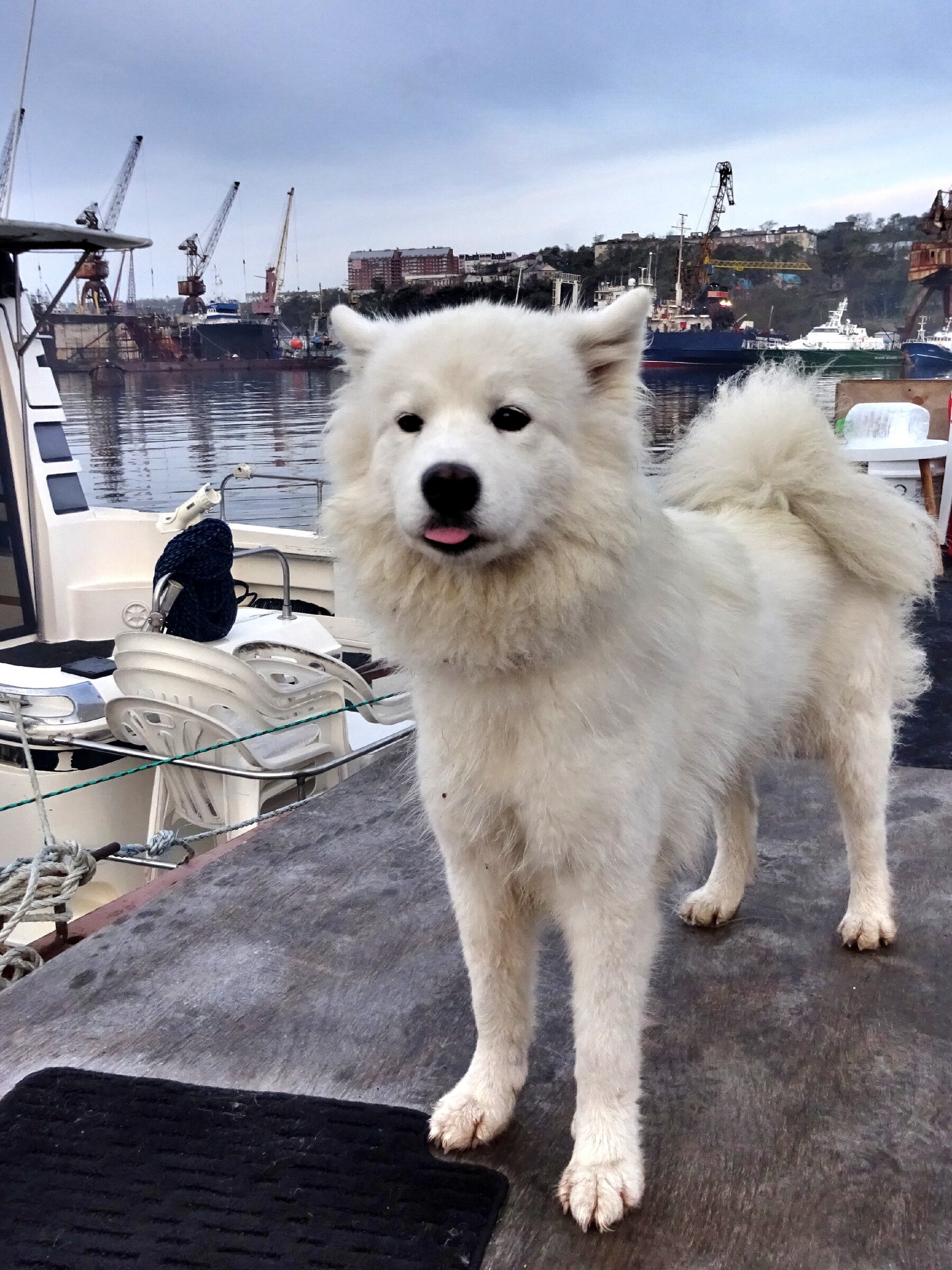 Путешествие к тюленям Ларги. Камни Унковского