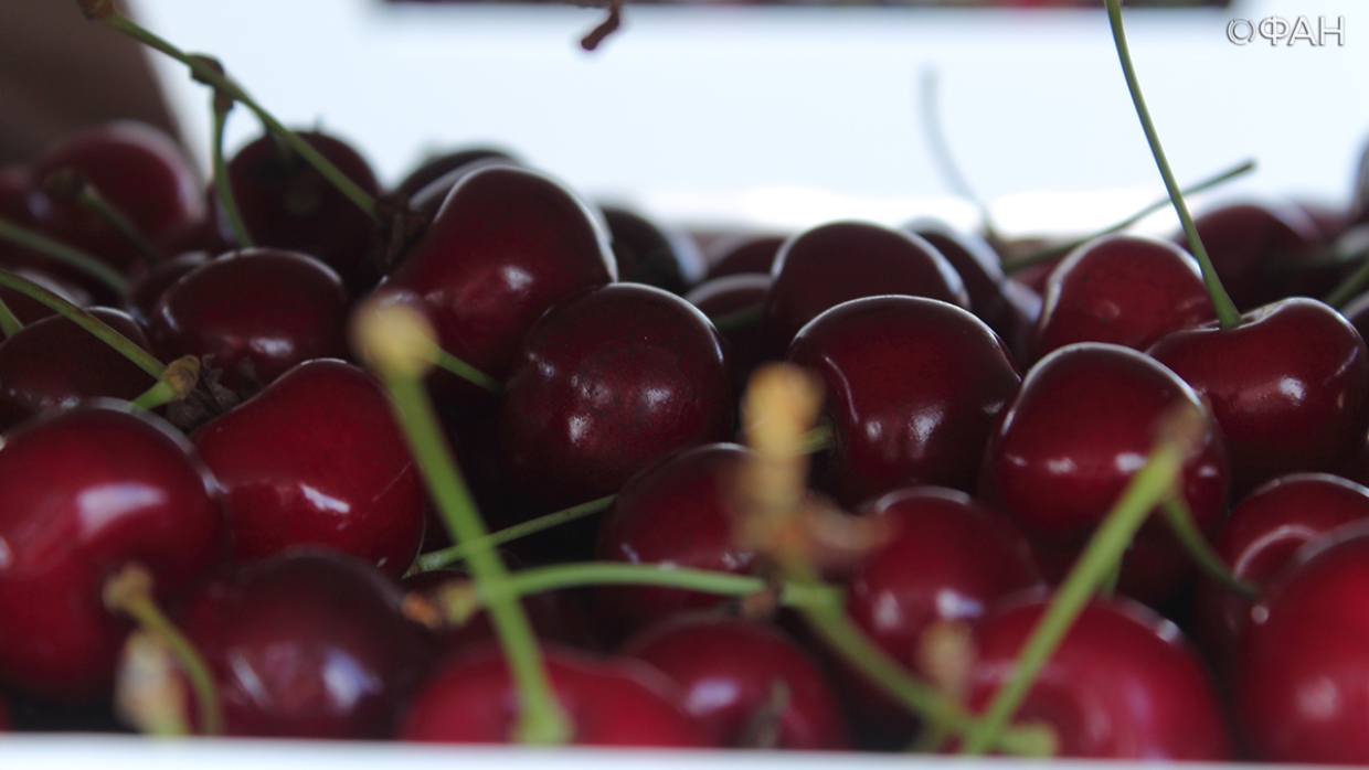 Крымские черешня и персики скоро появятся на прилавках Москвы