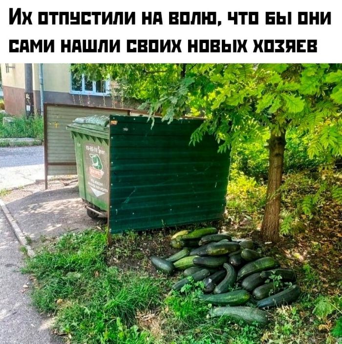 Юмор для тех, кто уже повзрослел и понял, что «новый опыт» - это другой сорт макарон 