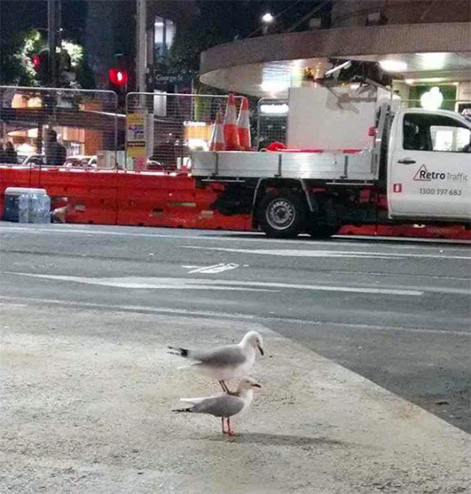 17 забавных комбинаций и совпадений, в реальность которых сложно поверить 