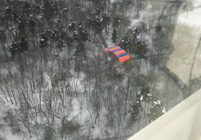 Очевидцы засняли на видео парашютиста, который застрял на дереве в Москве