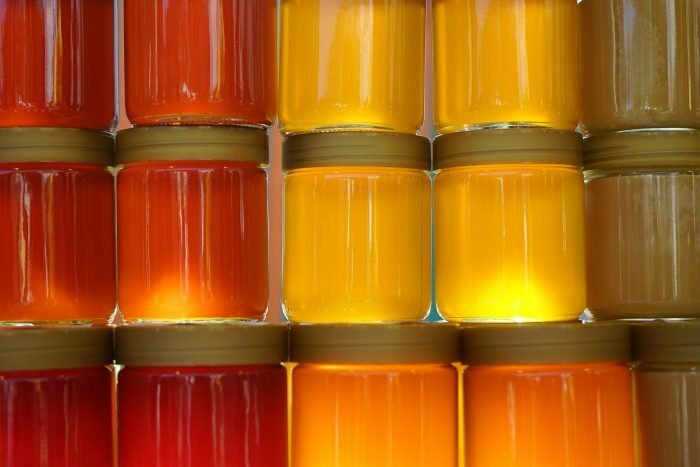 При гастрите полезнее темный мед (Фото: Pixabay.com)