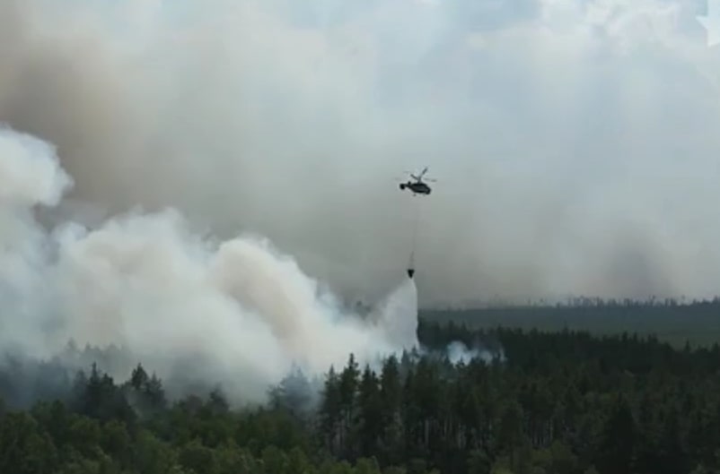 Пожарный-доброволец из Москвы рассказал о тушении лесных пожаров в Рязанской области