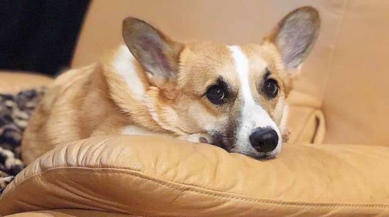 BeFunky-collage - 2020-02-14T153651.882