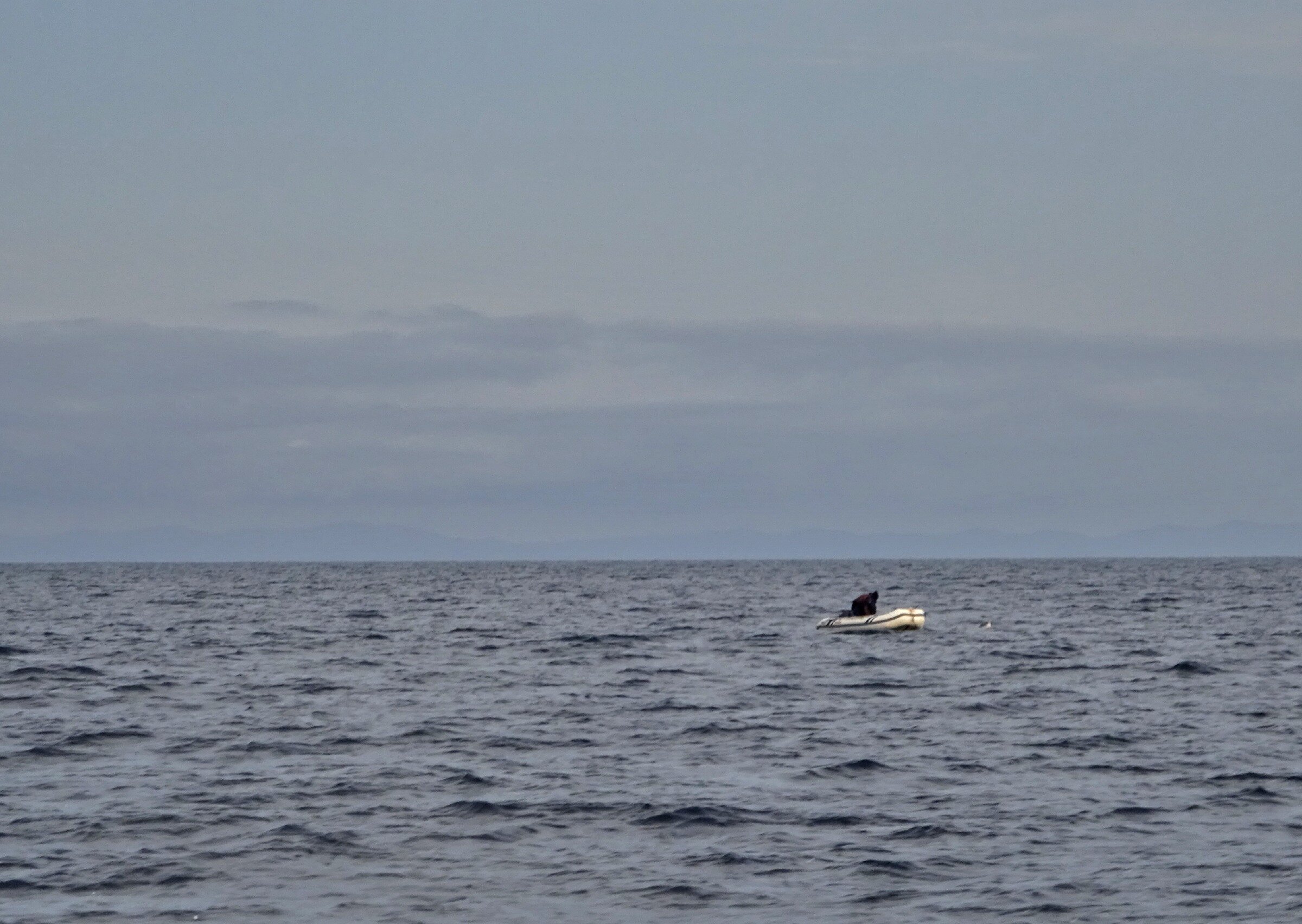 Путешествие к тюленям Ларги. Камни Унковского Путешествие к тюленям Ларги. Камни Унковского