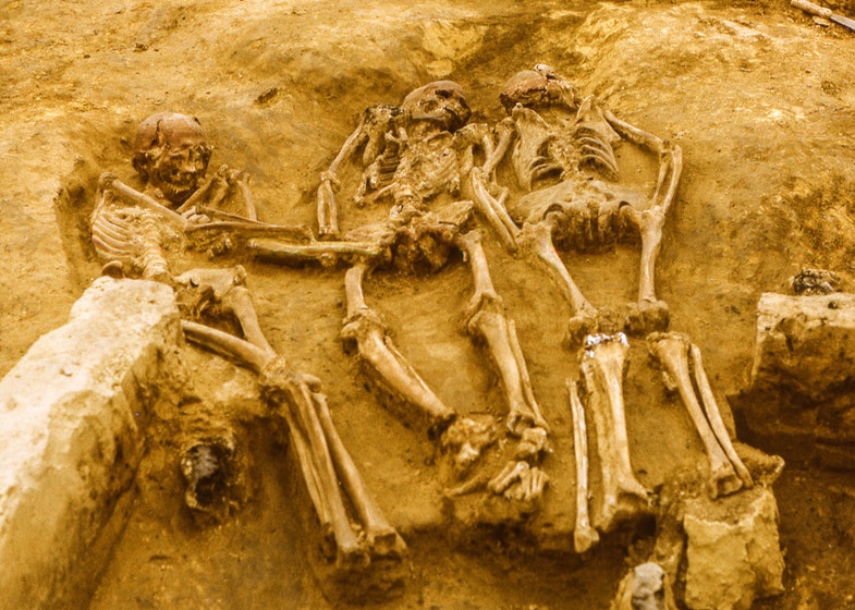 Triple Burial at the Upper Paleolithic Site of Dolní Věstonice