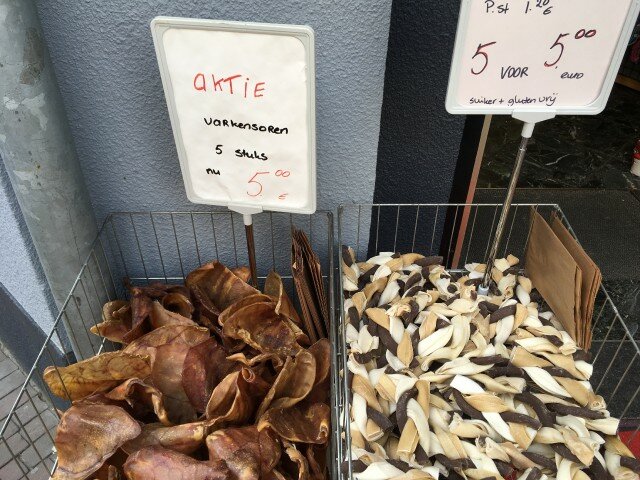 Много ли надо для собачьего счастья? не всё так грустно