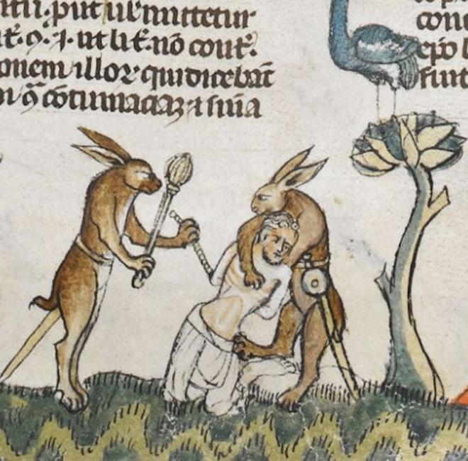20 кроликов-убийц из средневековых книг: почему именно этих зверьков рисовали такими злобными жизнь,история,тайны,факты