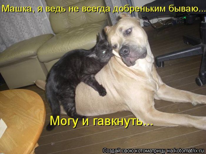 Мысли вслух :)