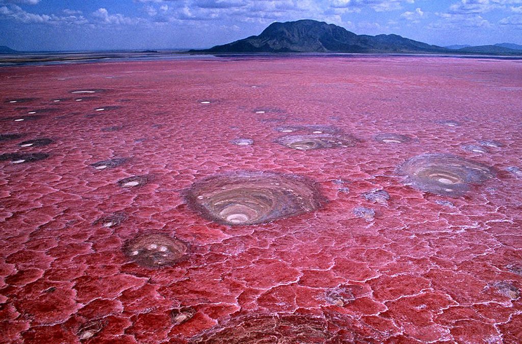 Красное озеро Натрон (Lake Natron)