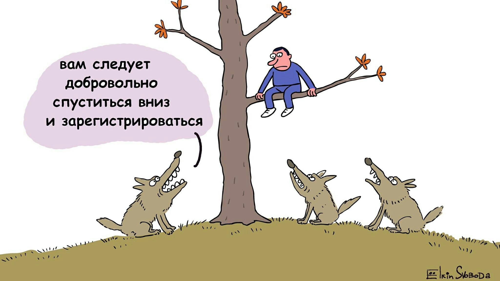 Добровольно. Самозанятый карикатура. Шутки про самозанятых. Налог на самозанятых карикатура. Мемы про самозанятых.