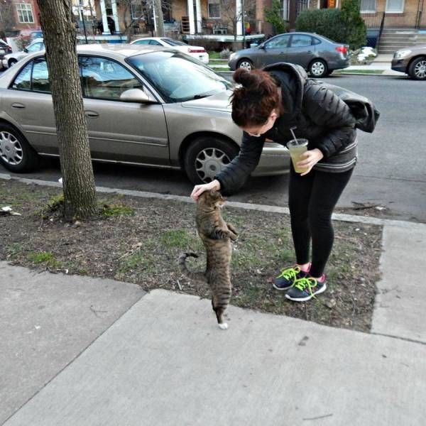 Подборка картинок. Дневной выпуск (55 фото)