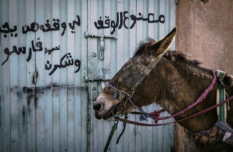 От Африки до арктической тундры России: финалисты фотоконкурса National Geographic Traveller 2019 От Африки до арктической тундры России: финалисты фотоконкурса National Geographic Traveller 2019