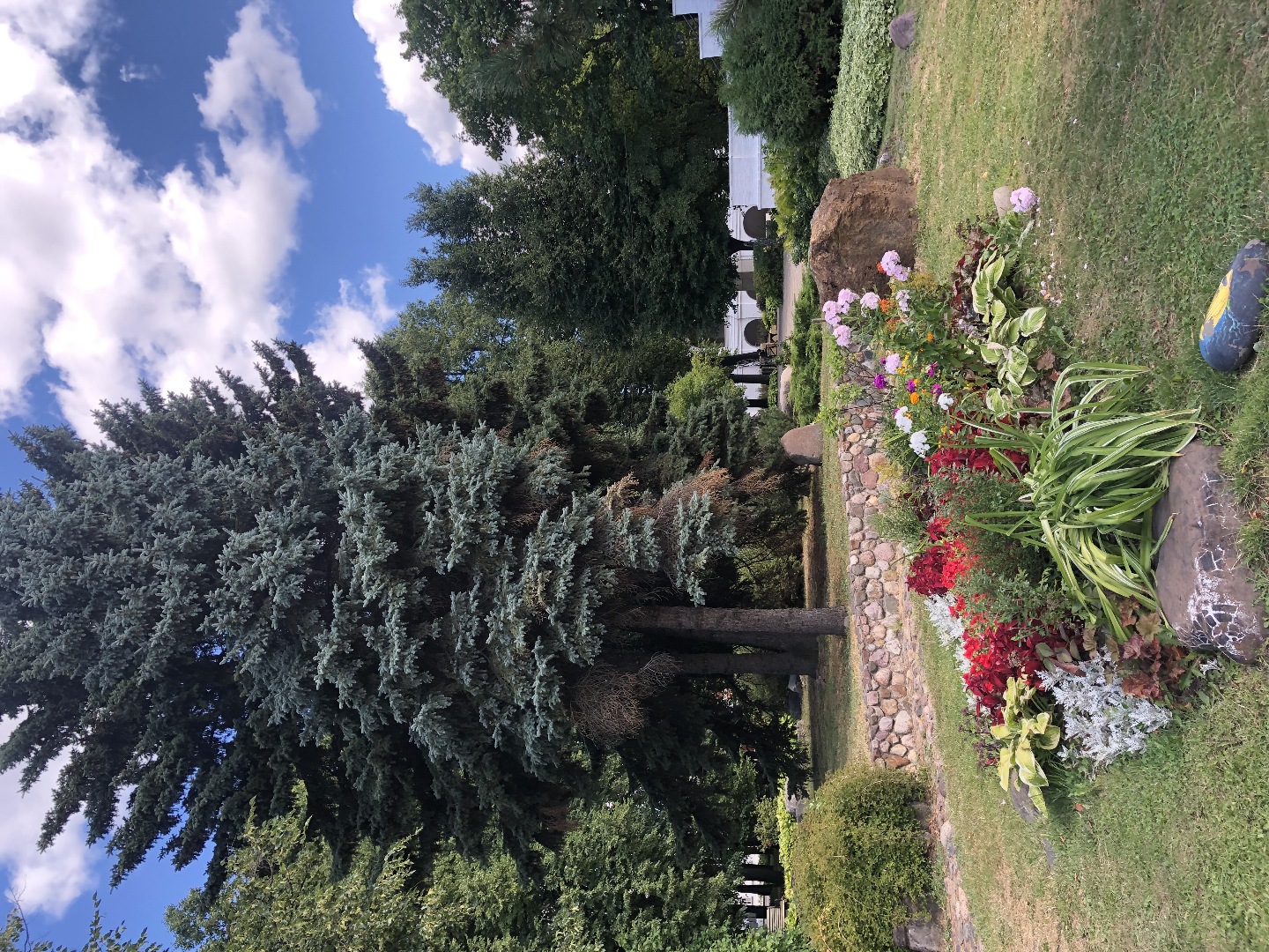 в Ярославль-город самым вечером приехали в Ярославль-город самым вечером приехали