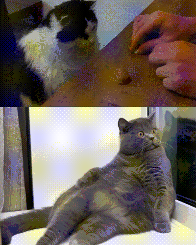 Подборка прикольных и веселых гифок для настроения Подборка прикольных и веселых гифок для настроения