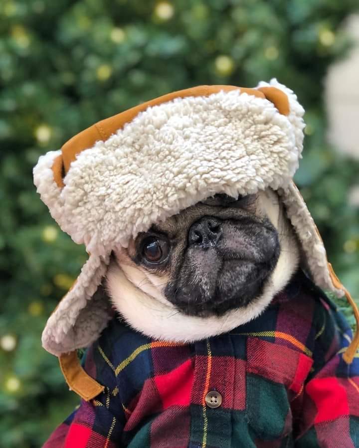 Я перестал смотреть телевизор 5 лет назад, когда пульт от него упал за диван. Оттуда еще никто не возвращался 