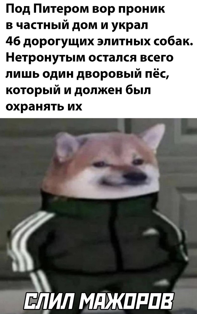 Подборка прикольных картинок  приколы,смешные картинки,юмор