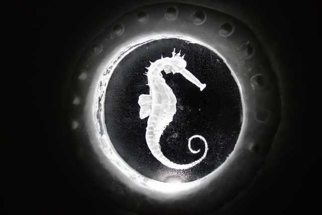 Иглу класса люкс на вершине горы Иглу класса люкс на вершине горы юмор