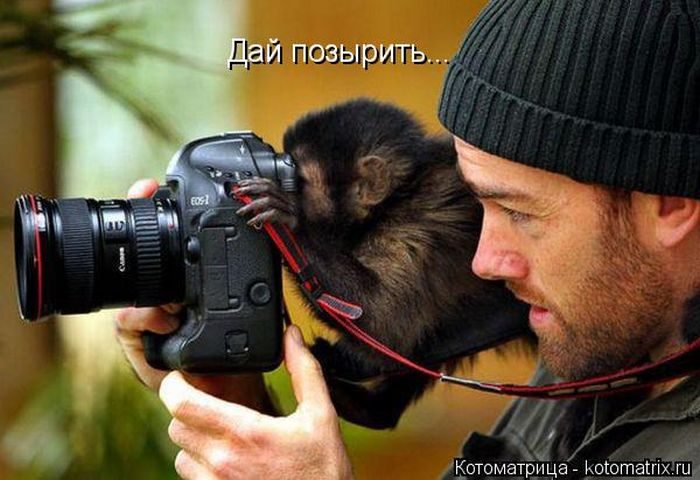 Лучшие котоматрицы за прошедшую неделю