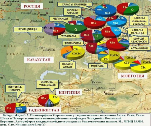 Белые страницы истории Сибири (часть-17). Происхождение казаков.