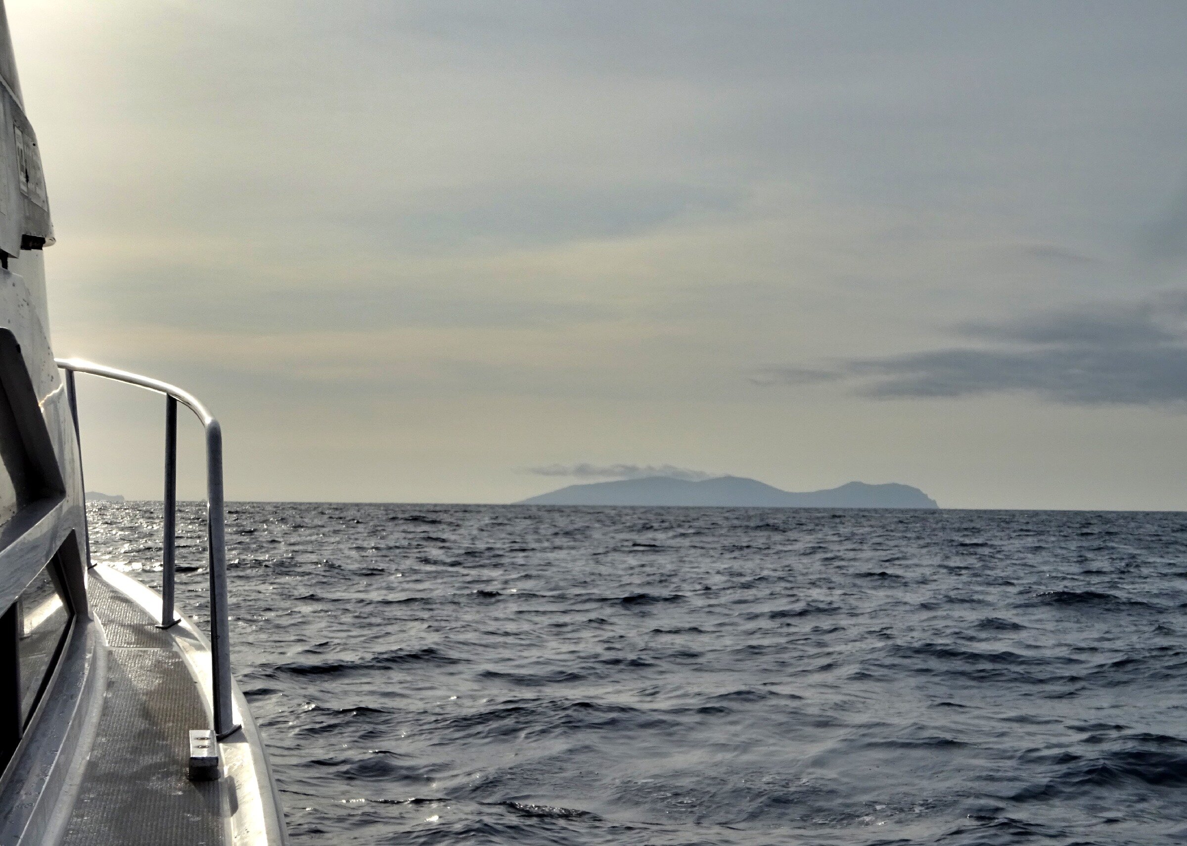 Путешествие к тюленям Ларги. Камни Унковского Путешествие к тюленям Ларги. Камни Унковского