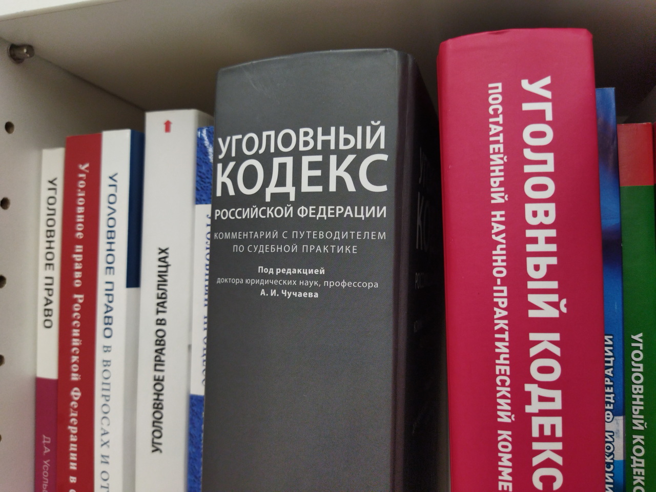 Жительница Челябинска отработает 200 часов за убийство той-терьера соседки