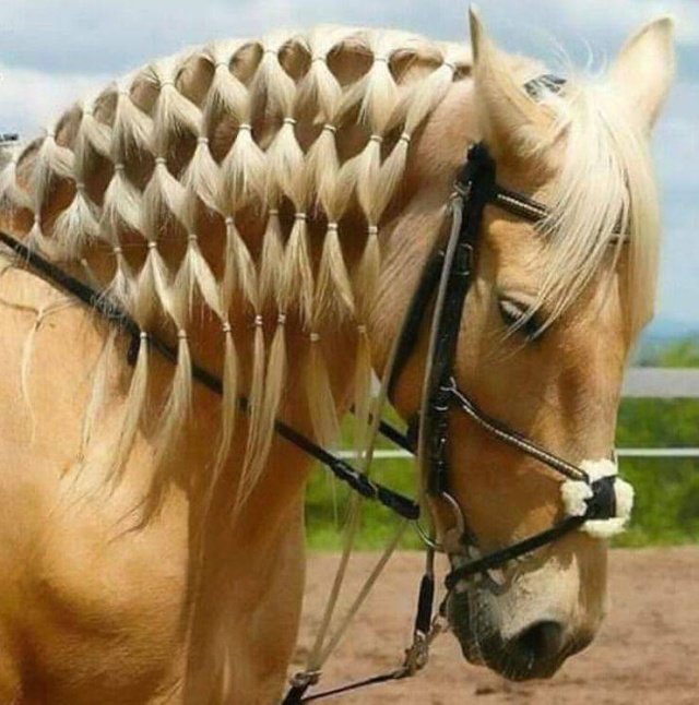 Фотоподборка четверга  