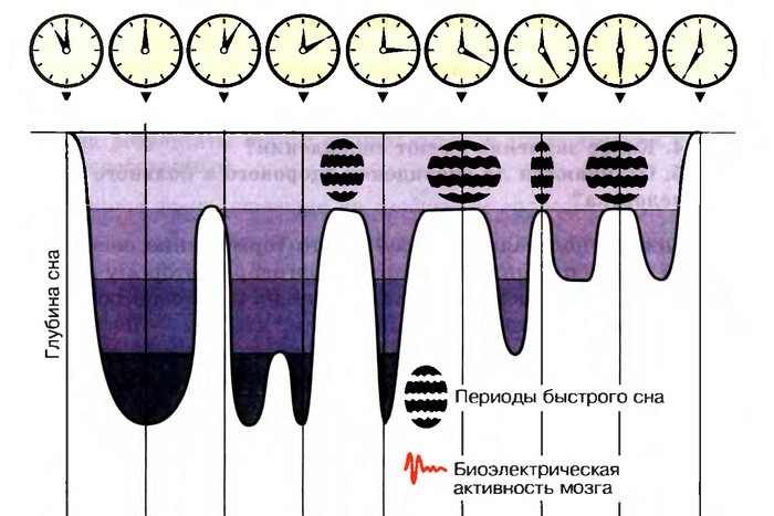 Важно знать: всплеск электрической активности.