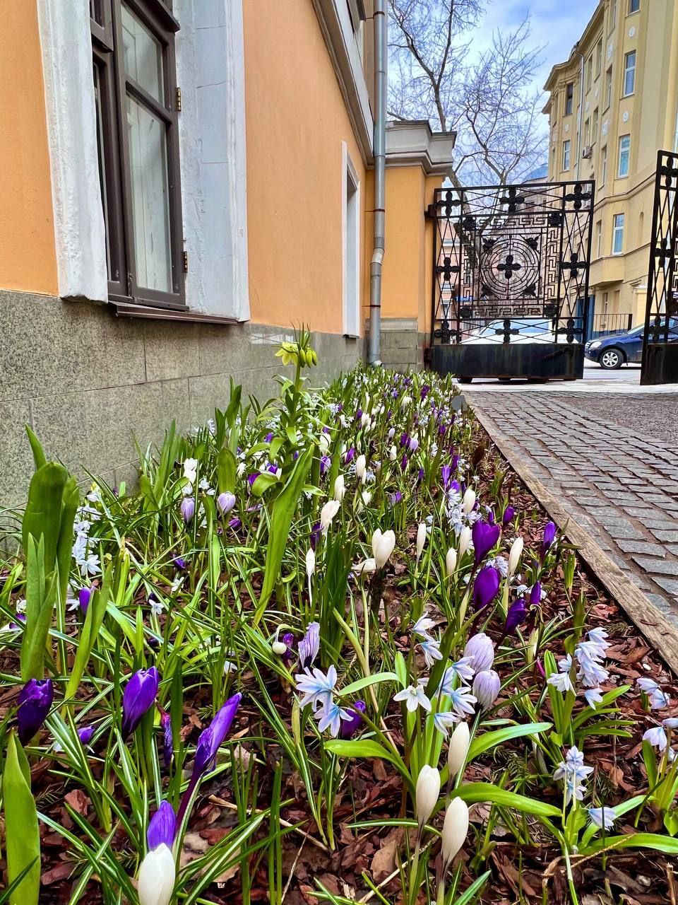 улица весенняя москва