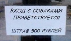 Таблетка "Иван Сусанин" выведет все шлаки из организма, причем каждый раз новым путем