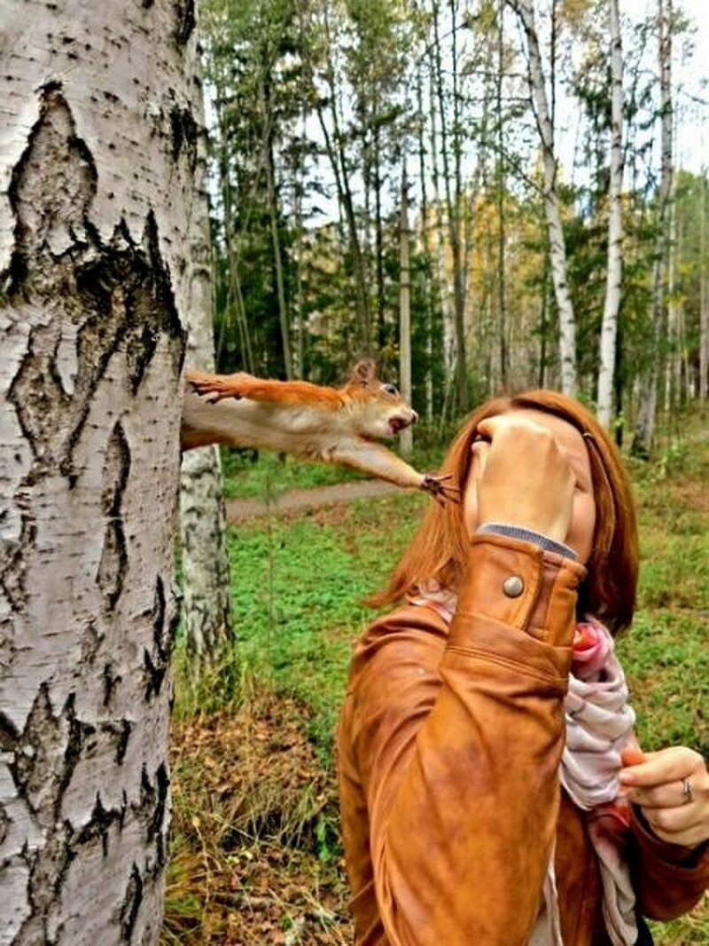 Добрый вечер! Добрый вечер! веселые картинки,юмор