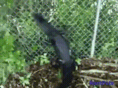 Гифки из нашей жизни: неудачные моменты и позитивные ситуации Гифки из нашей жизни: неудачные моменты и позитивные ситуации