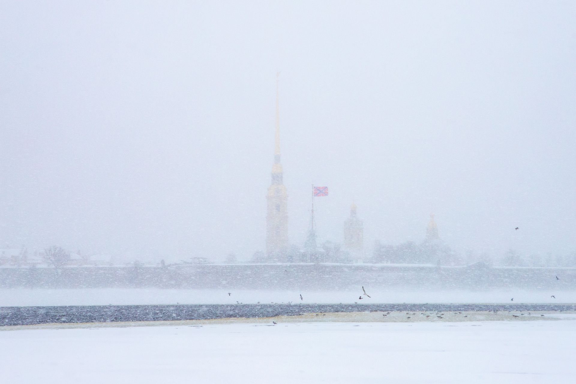 метель в санкт петербурге