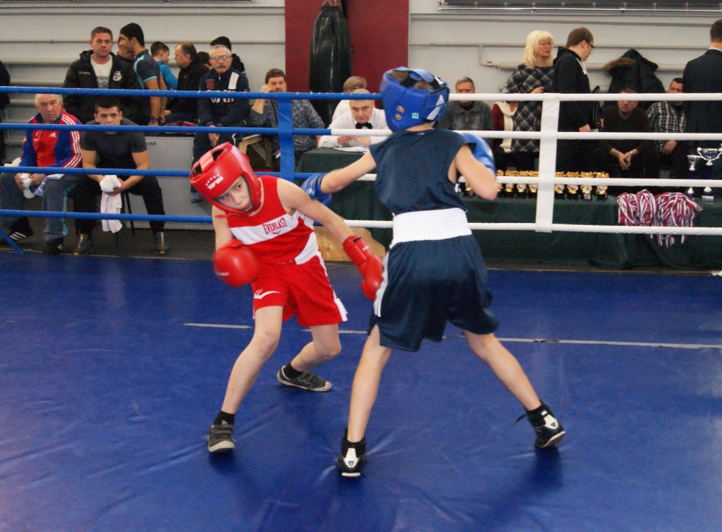 Юные боксеры