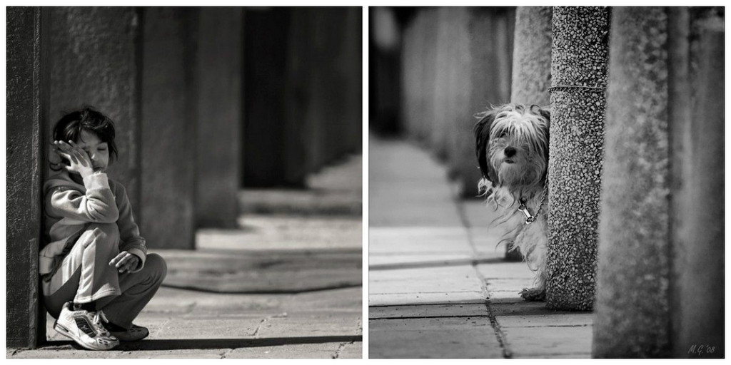 Чёрно-белые снимки с элегичными мотивами 