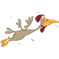 Анекдоты: С Новым годом! анекдоты