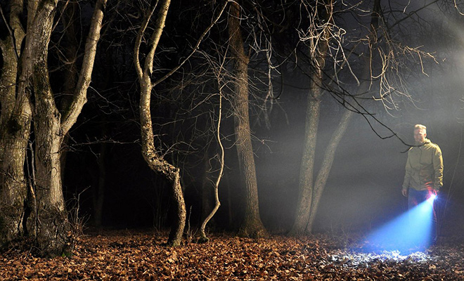 Бермудский треугольник Трансильвании: что скрывает Хойя-Бачу, самый неизученный лес Румынии - свежие новости на Toplenta