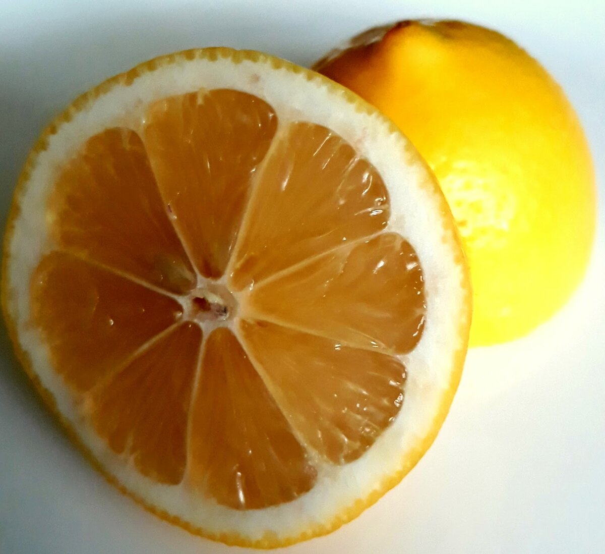 Лимон. Фото автора статьи.