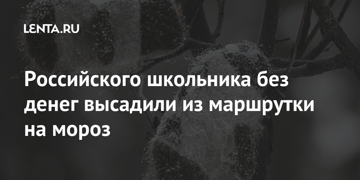 Российского школьника без денег высадили из маршрутки на мороз Россия