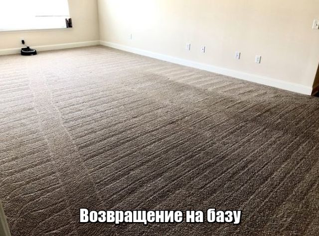 Подборка картинок