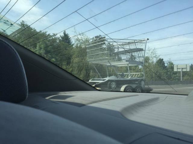 Фотоподборка четверга 