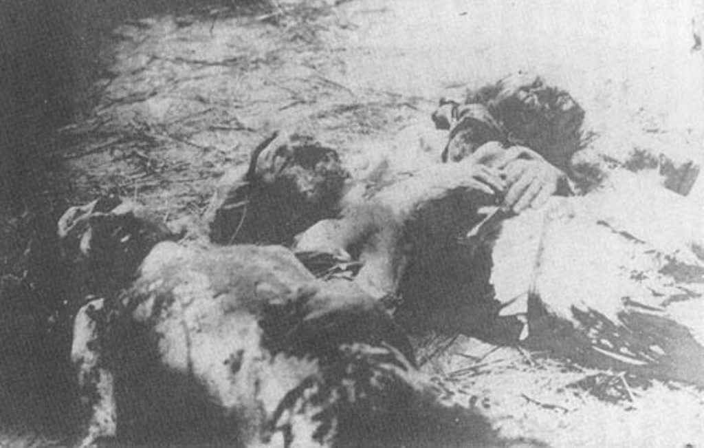 Изуродованные трупы жертв херсонской ЧК. 