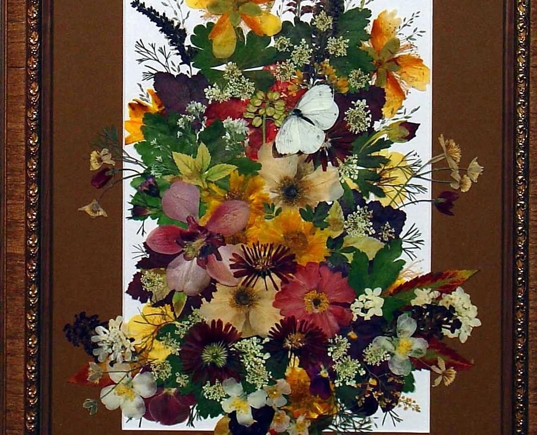 Японская техника ошибана: картины из растений и цветов рукоделие,творчество
