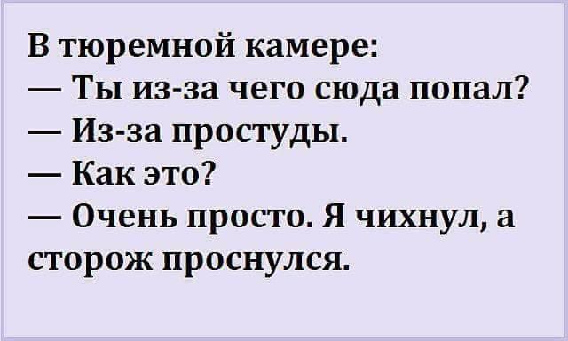 Нет ничего лучше юмора: 20 свеженьких анекдотов и шуток в картинках для чудесного настроения 