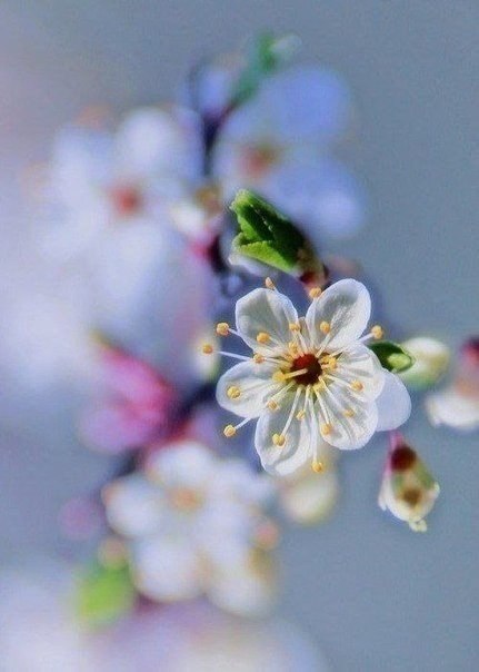 Картинки, приколы и фотографии для улыбки Картинки, приколы и фотографии для улыбки