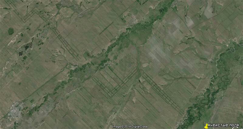 Что стало с лесостенами, которые высаживали в начале 1950-х? ﻿ Алтайский край [270971],история,россия