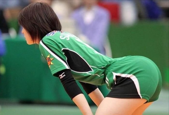 Для ценителей женского волейбола